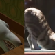 Image for article titled Pour one out for creepy '90s CGI and watch how Pixar's animation has evolved over the last 24 years